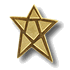 Gold Star Pin