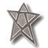 Silver Star Pin